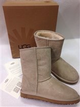 ОГУРЦЫ БЕЖЕВЫЕ