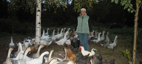 Натуральные продукты от фермеров Тверской области