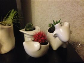 Ежик, шляпа и овца