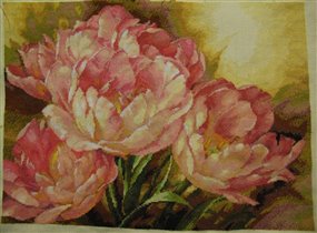 Трио тюльпанов