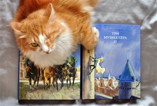 Три мушкетера. В двух томах (А. Дюма, илл. А. Иткин)