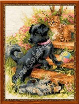 Дачники от Риолис (пдф)