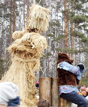 звуки весны разбудили медведя