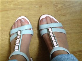 Норма лето 15