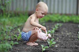 Я маме помогу!Я полью капустку в огороде!