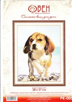 щенок бигля от овен