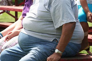 Повышенная калорийность рациона — главная причина ожирения