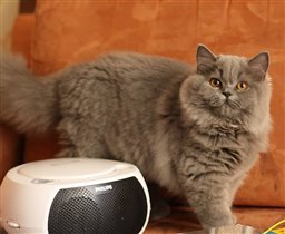 Глории 10 мес.