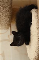 Хелли Берри.Зарезервирована Надеждой Москов.обл.