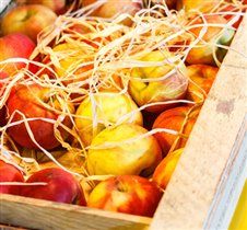 Минимаркет 'Город-Сад' на Патриарших: органические яблоки в эти выходные