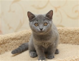 Ханни. Какие у нас глазки!