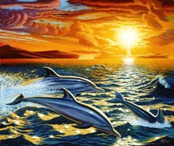 'Дельфины на закате': GX9054 (40x50)