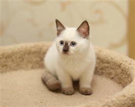 Злата также с нетерпением ждет встречи