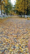 Осень в Альметьевске