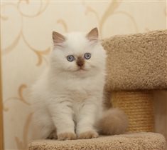 Малыш ищет любящую семью