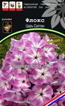 флокс Царь Салтан 1шт 59р