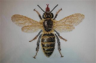 Пчела от Теи Гувернёр (N 3017)