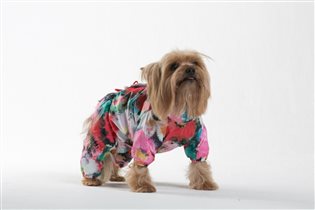 масло
