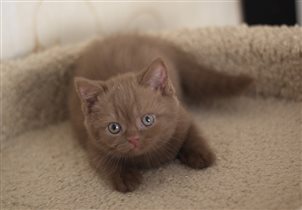 Здоровый и очень ласковый ребенок