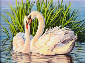 'Лебеди на озере': GX8466 (40х50)