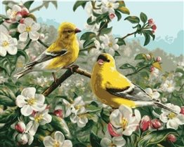 'Птички на яблоне': GX8476 (40х50)