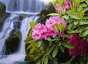  'Цветы у водопада': GX7974 (40х50)