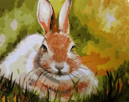 'Кролик': GX8491 (40x50)