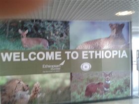 В аэропорту Аддис-Абебы