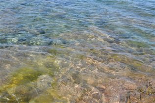 Чистейшая вода Баренцева моря