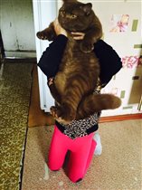 Урганту 6 месяцев