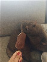 Любитель мороженого