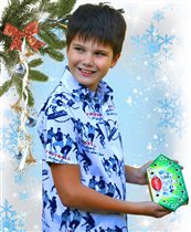 Новогоднее конфетти, картон, Вес 200 гр., 99 руб.