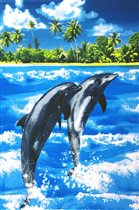 Дельфины 3 D