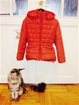 S`COOL Осенняя куртка для девочки 146р-р 
