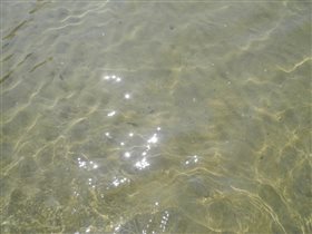 Вода на пляже Орленок прозрачная