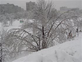 Зима в Подмосковье