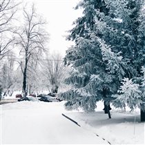 Харьковская зима