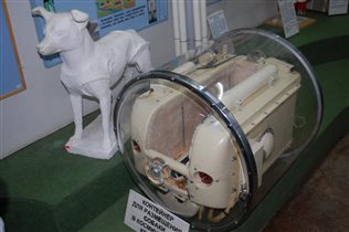 Контенер для собаки в космическом корабле