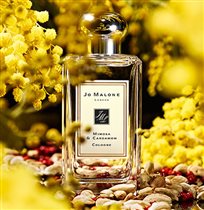 Mimosa & Cardamom Jo Malone