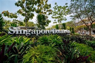 Сингапур-2017: 10 лучших мест, которые помогут открыть Сингапур