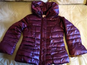 Куркт Brums  6 лет ,