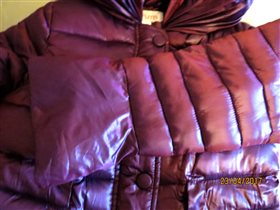 Куркт Brums  6 лет ,