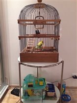 большая деревянная клетка