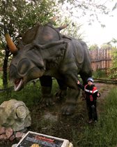 Парк для любителей динозавров!
