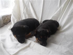 Информация!