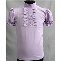 2-750 лиловый