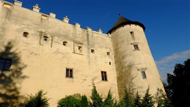 замок Недзица