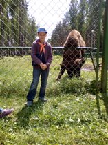 Детский отдых в Белоруссии - лагерь 'Ждановичи'