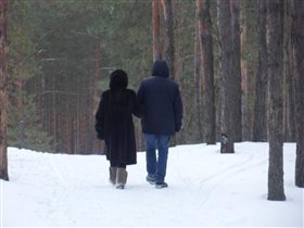 Прогулка по зимнему лесу 