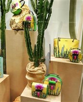 кромия 2019 серия кактус